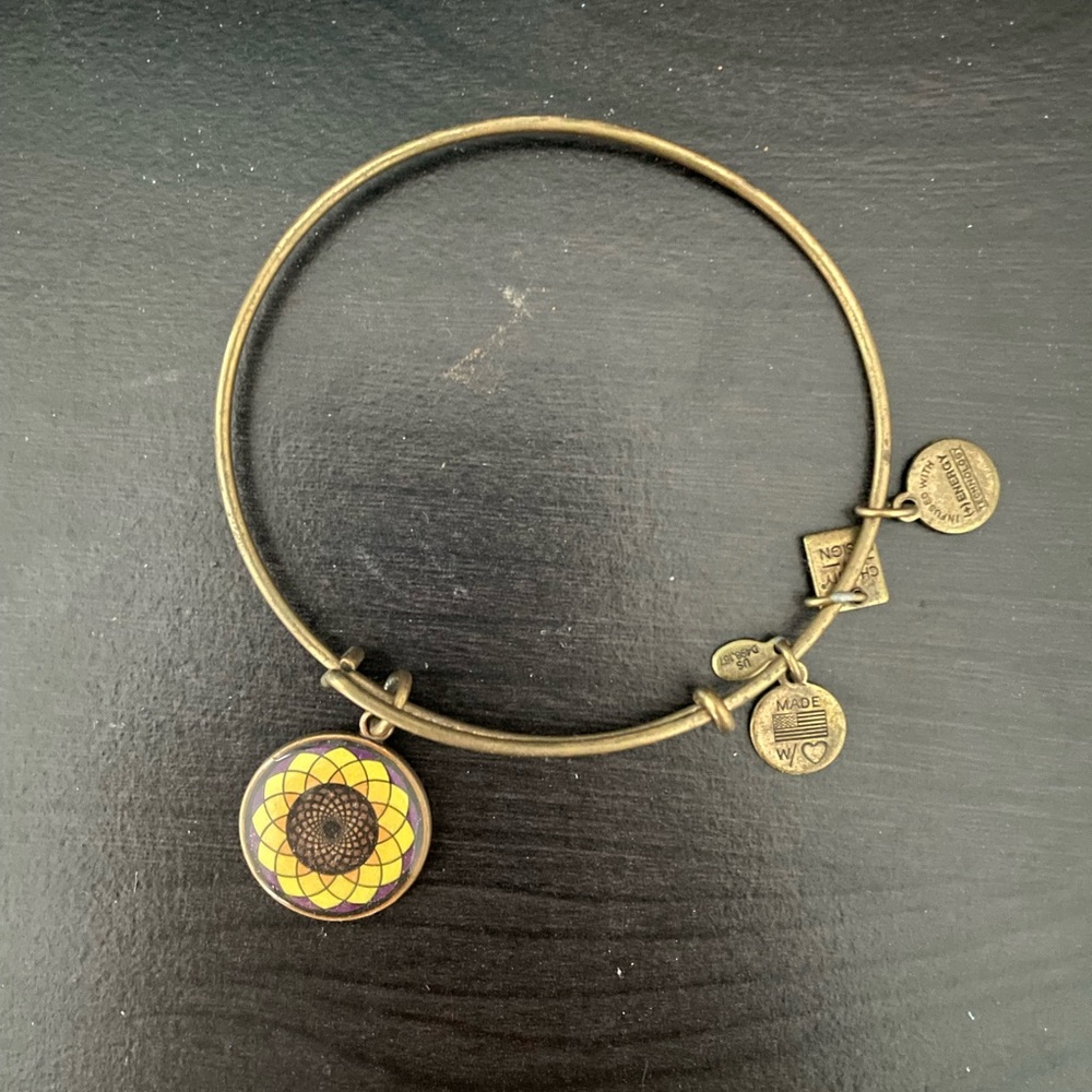 Alex and Ani Bangle Bracelet